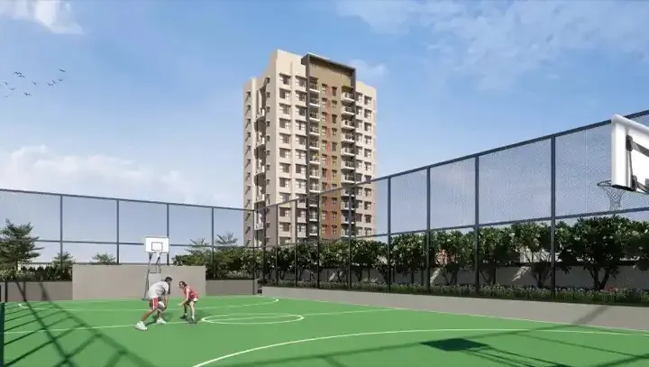 Basketball Court